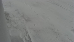 Nástup na běžecké tratě