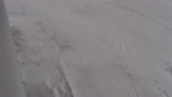 Nástup na běžecké tratě