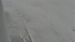 Nástup na běžecké tratě