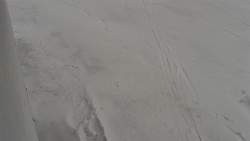 Nástup na běžecké tratě