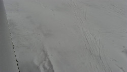 Nástup na běžecké tratě