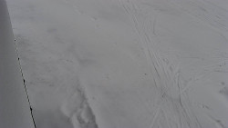 Nástup na běžecké tratě