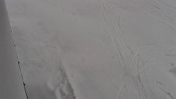 Nástup na běžecké tratě