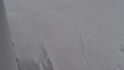 Nástup na běžecké tratě