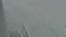 Nástup na běžecké tratě