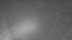 Nástup na běžecké tratě