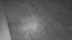 Nástup na běžecké tratě