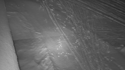 Nástup na běžecké tratě