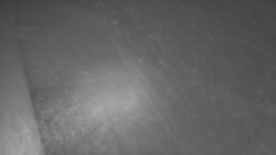 Nástup na běžecké tratě