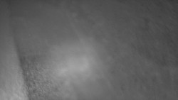 Nástup na běžecké tratě