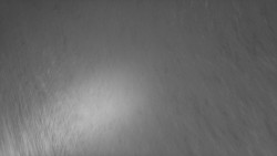 Nástup na běžecké tratě