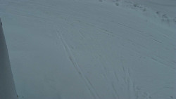 Nástup na běžecké tratě