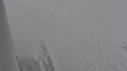 Nástup na běžecké tratě