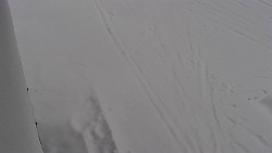 Nástup na běžecké tratě