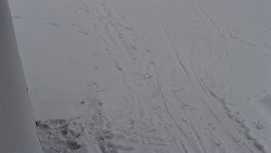 Nástup na běžecké tratě