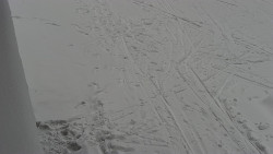 Nástup na běžecké tratě