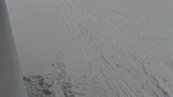 Nástup na běžecké tratě