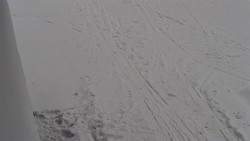 Nástup na běžecké tratě