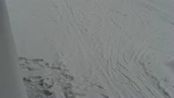 Nástup na běžecké tratě