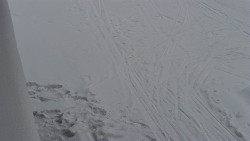 Nástup na běžecké tratě