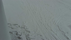 Nástup na běžecké tratě