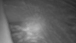 Nástup na běžecké tratě