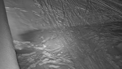 Nástup na běžecké tratě