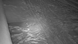 Nástup na běžecké tratě