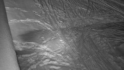 Nástup na běžecké tratě