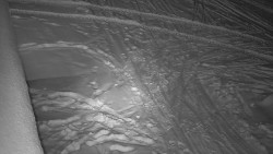 Nástup na běžecké tratě