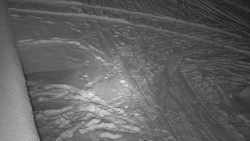 Nástup na běžecké tratě