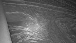 Nástup na běžecké tratě