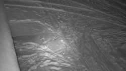 Nástup na běžecké tratě