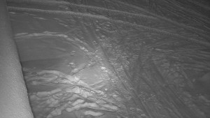 SkiAreál - Horský hotel Vsacký Cáb - Nástup na běžecké tratě - 19.2.2026 v 00:16 SkiAreál - Horský hotel Vsacký Cáb - Nástup na běžecké tratě - 19.2.2026 v 00:16