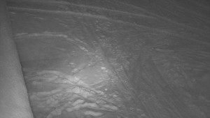 SkiAreál - Horský hotel Vsacký Cáb - Nástup na běžecké tratě - 19.2.2026 v 01:30 SkiAreál - Horský hotel Vsacký Cáb - Nástup na běžecké tratě - 19.2.2026 v 01:30