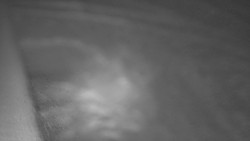 Nástup na běžecké tratě