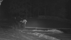 Nástup na běžecké tratě