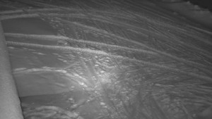 SkiAreál - Horský hotel Vsacký Cáb - Nástup na běžecké tratě - 19.2.2026 v 06:01 SkiAreál - Horský hotel Vsacký Cáb - Nástup na běžecké tratě - 19.2.2026 v 06:01