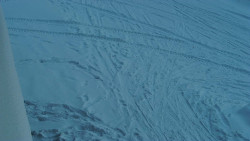 Nástup na běžecké tratě