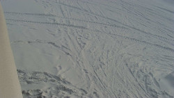 Nástup na běžecké tratě