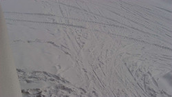 Nástup na běžecké tratě