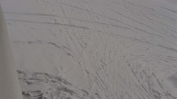 Nástup na běžecké tratě