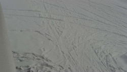 Nástup na běžecké tratě