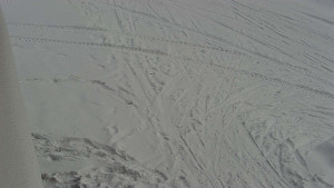 SkiAreál - Horský hotel Vsacký Cáb - Nástup na běžecké tratě - 19.2.2026 v 09:31 SkiAreál - Horský hotel Vsacký Cáb - Nástup na běžecké tratě - 19.2.2026 v 09:31