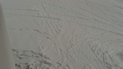 Nástup na běžecké tratě