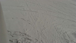 Nástup na běžecké tratě