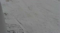 Nástup na běžecké tratě