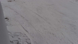 Nástup na běžecké tratě