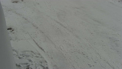 Nástup na běžecké tratě