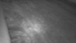 Nástup na běžecké tratě